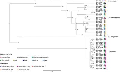Genomic characterization of polyextremotolerant black yeasts isolated from food and food production environments